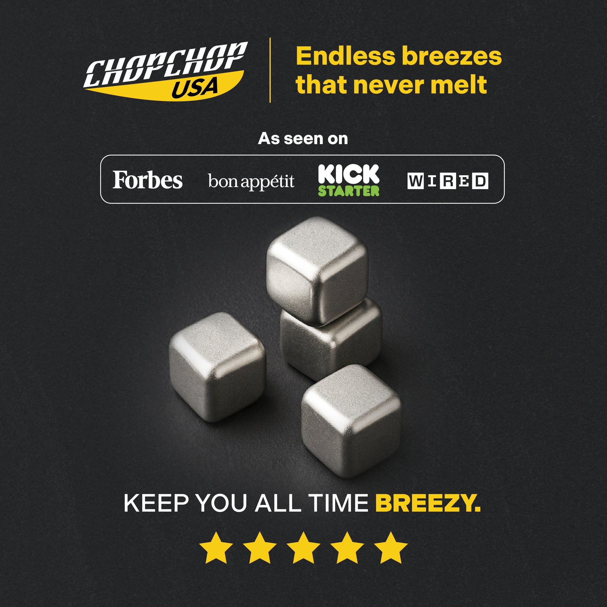 chopchop-usa-titanium-ice-cubes-1