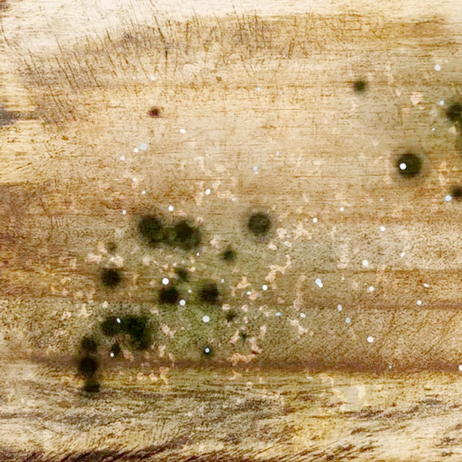 Close-up of mold spots growing in the cuts of an old wooden cutting board